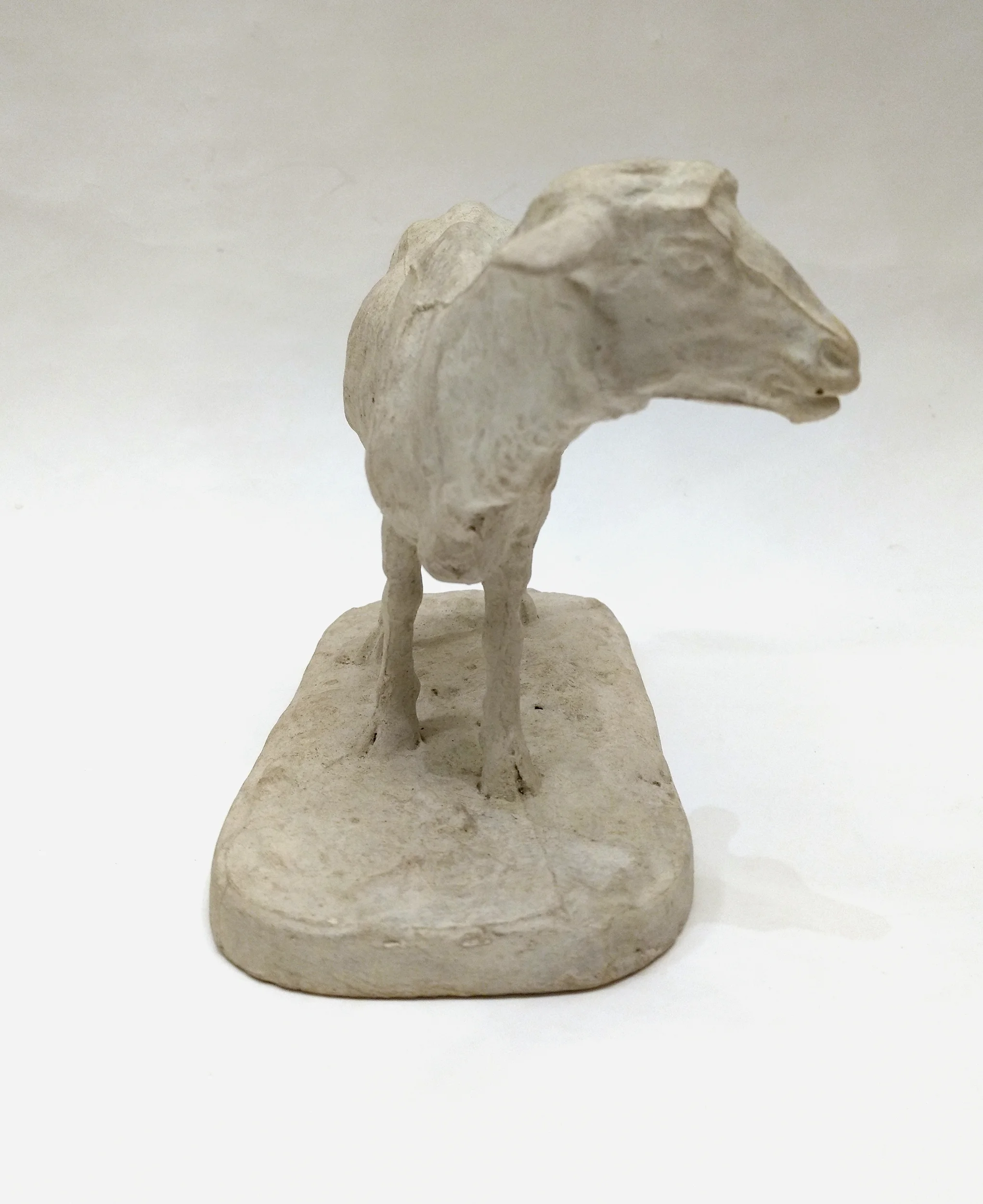 Mouton debout, plâtre d'atelier de P.J Mêne (1810 - 1879)-04